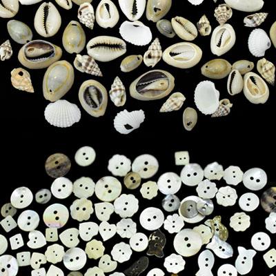 MOP Buttons and Sea Shells, Perfect Material for Craft and Decoration